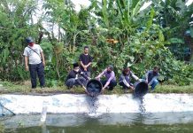 Ponpes Ora Aji Terima Bantuan Lele Dari Polda DIY