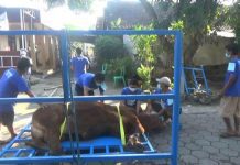 Cegah Kerumunan Saat Penyembelihan, Warga Bentuk Tim Khusus