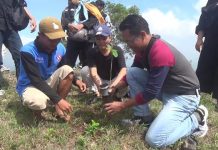 Cegah longsor, Puluhan Mahasiswa UCY Tanam Bibit Pohon di Puncak Pathuk