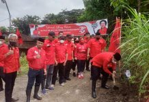 Peringati HUT Ketum ke-75 , Ratusan Kader PDIP Karanganyar Tanam Pohon di Hutan Krendowahono