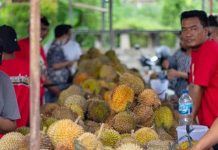 Bazar Durian Murah Bakal Segera Hadir di Karanganyar