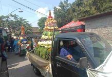 Dua Gunungan Meriahkan Bersih Dusun Padukuhan Nayan