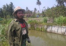 Ngarit Dan Besarkan Ikan Nila Jadi Rutinitas Eks Napiter
