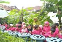 Program Kebun Gizi Rumah Zakat Rujukan Edukasi Anak Cinta Lingkungan