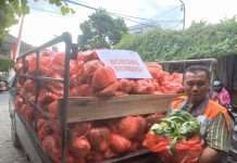 Rumah Zakat Borong 1 Ton Sayur Petani