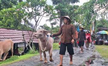 Mini Zoo Jogja Exotarium Rayakan HUT ke-8 dengan Kirab Hewan Koleksi