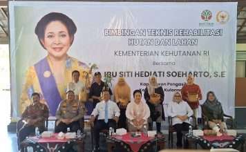 Hadiri Bimtek RHL, Titiek Soeharto Bagikan Ribuan Bibit Tanaman Produktif Bagi Warga Kulon Progo