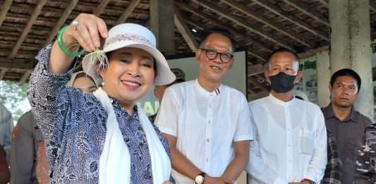 Titiek Soeharto Dukung Inovasi Penanaman Bawang Bombai di Lahan Pasir Bantul dengan Teknologi Smart Farming